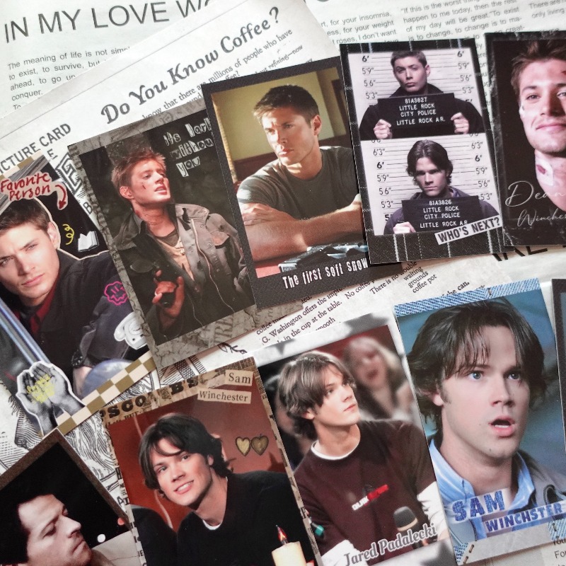 Supernatural SPN Dean & Sam Vi - Vintage Collectible Show review and price